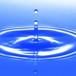 水分量